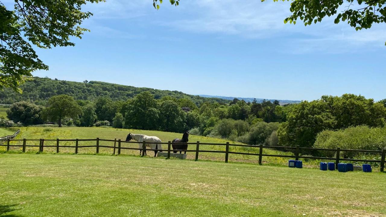 Chudleigh Beautiful Orchid Lodge, Finlake Resort & Spa In Devon מראה חיצוני תמונה